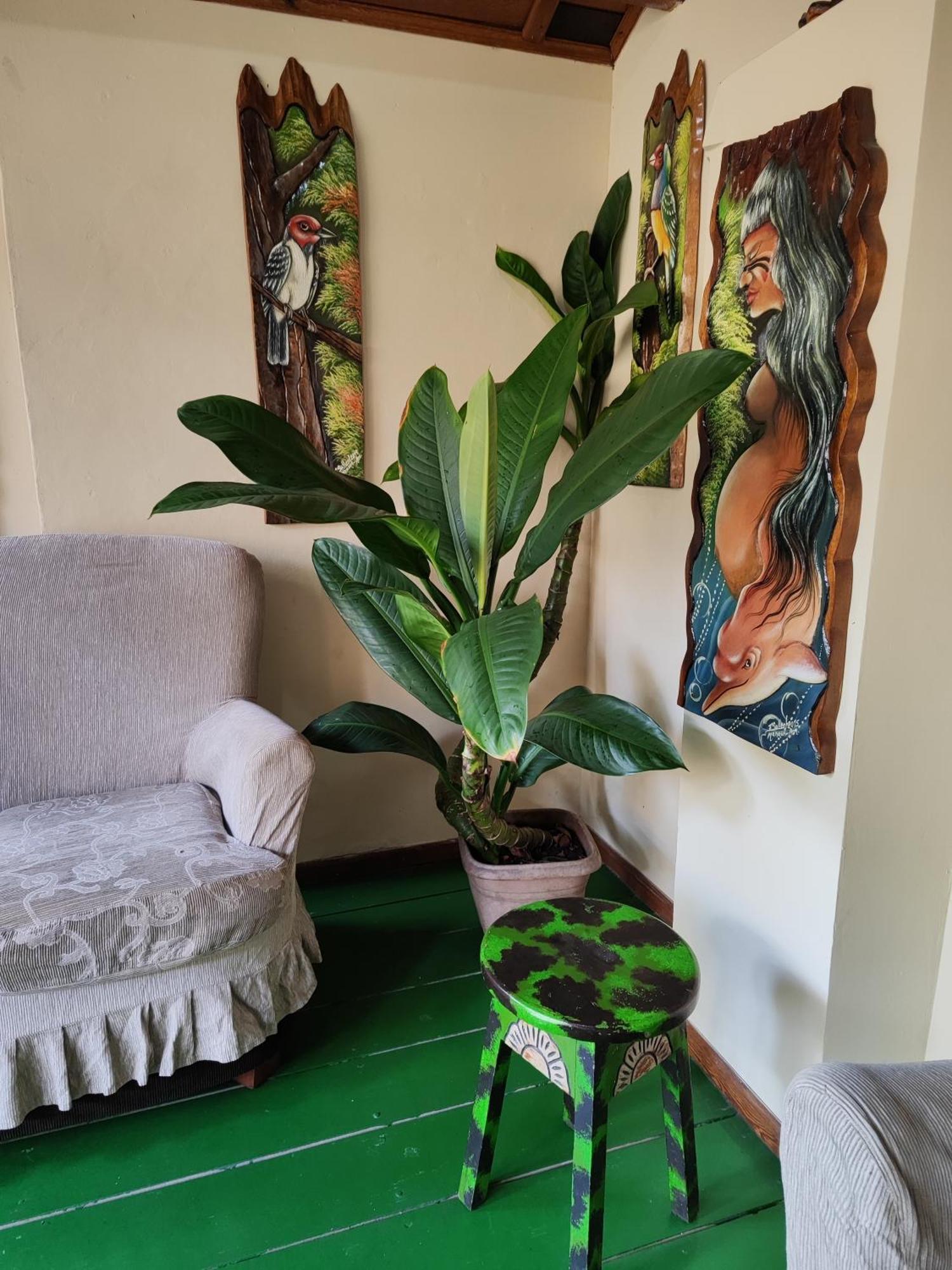 Hostal Hostel Manaus Manaos