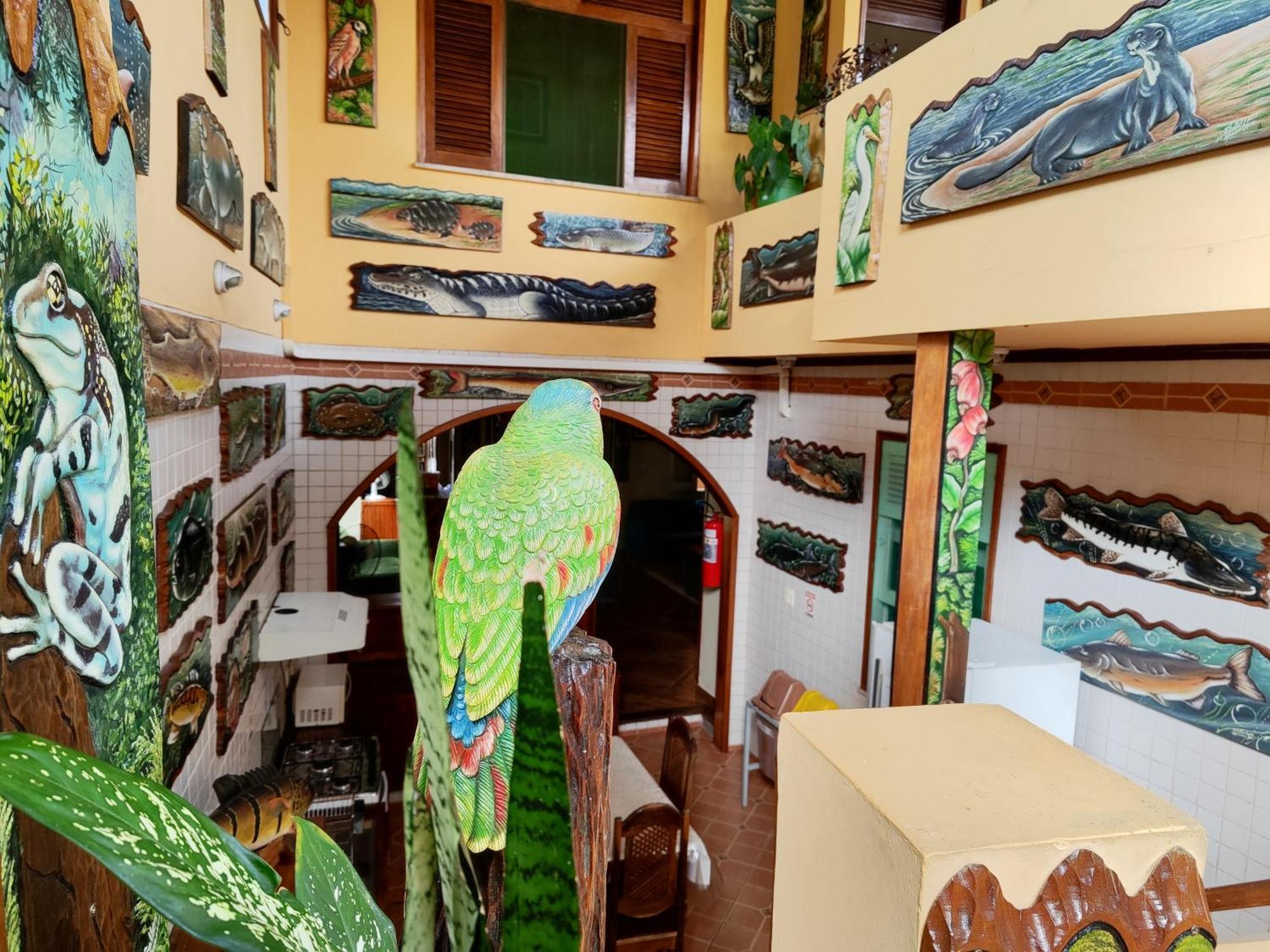 Hostel Manaus Hostal Manaos